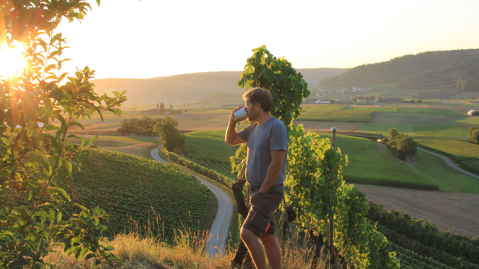 Discover-the-visionary-winemaking-journey-of-Hoss-Hauksson-the-pioneering-Icelandic-vintner