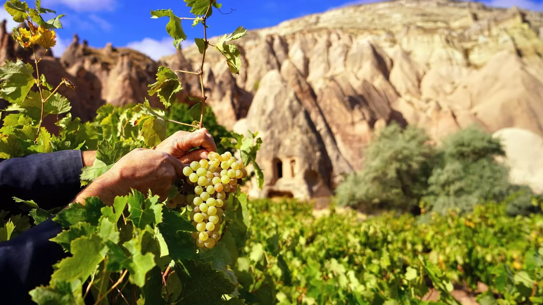 67e793b0f41f37c628ecc201