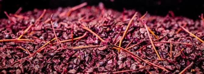 76556927136293ddd5_supp1