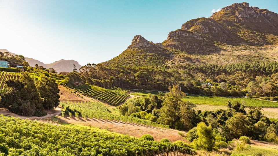 _methode_times_prod_web_bin_49d889b8-ce94-41eb-9dc0-609b054a1b2d